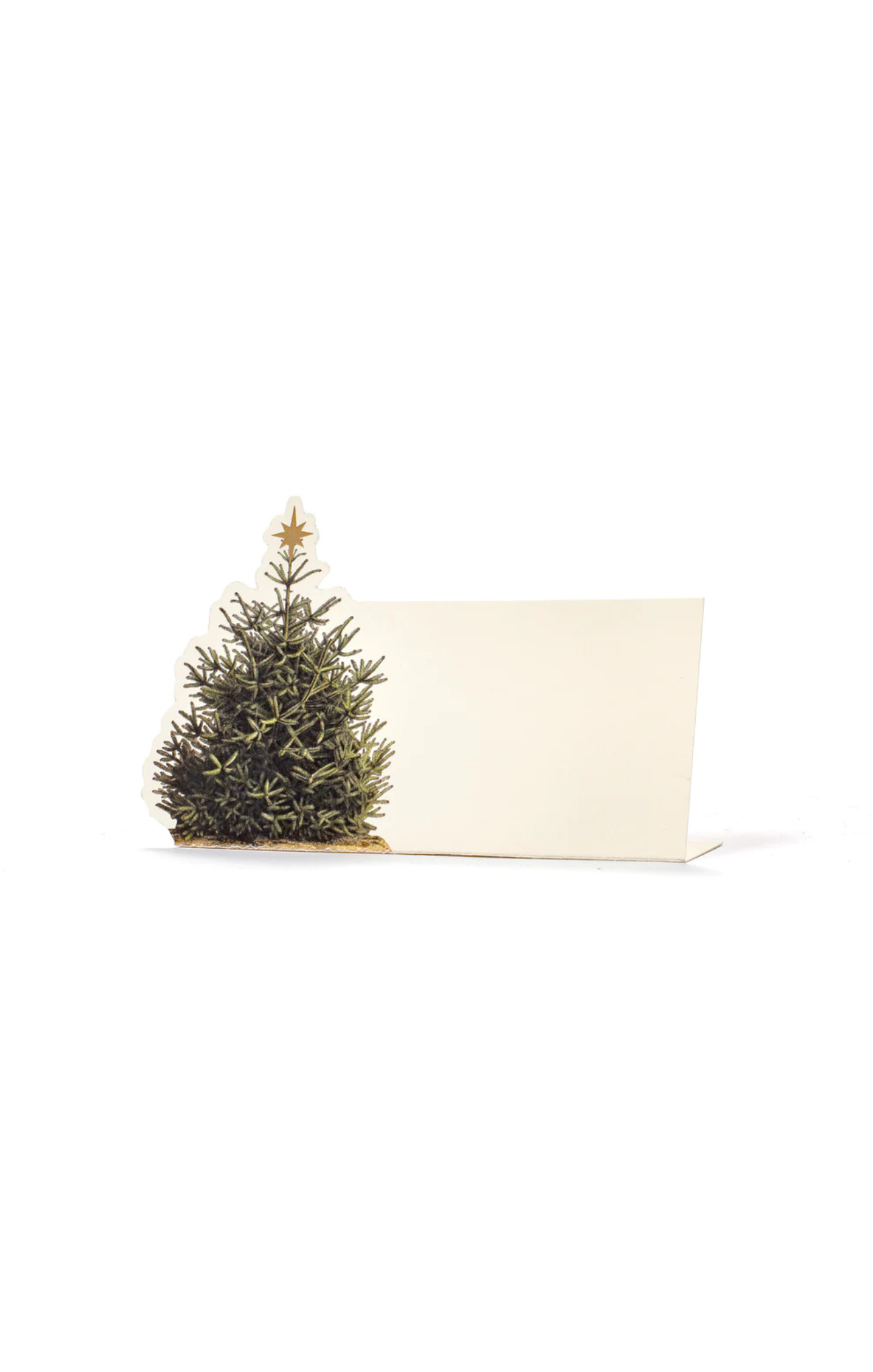 Shop At Grace, Christmas Tree Place Card, Hester & Cook