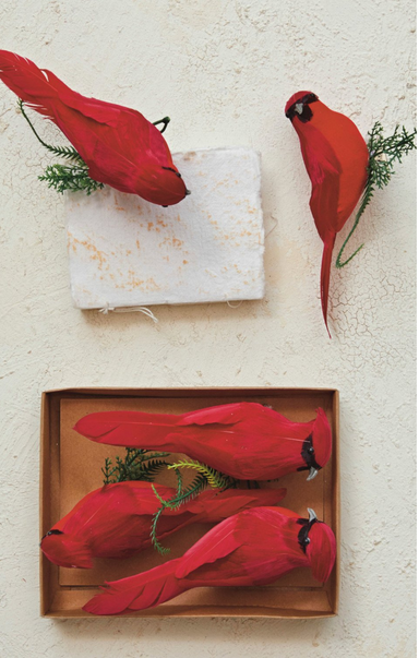 Shop At Grace, Foam & Feather Cardinal Clip-On Ornaments, red, boxed set of 3