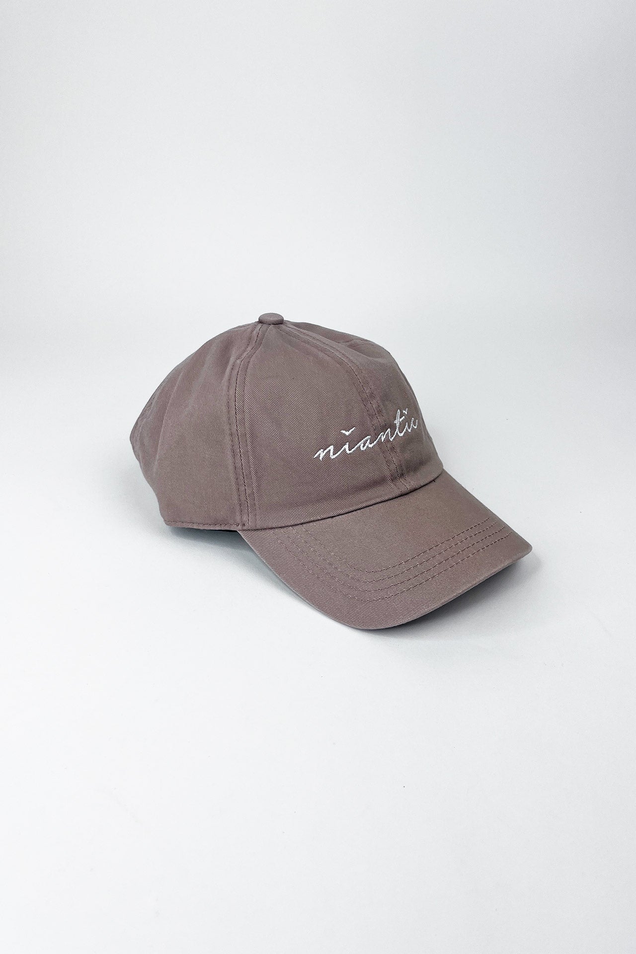 Niantic Dad Cap